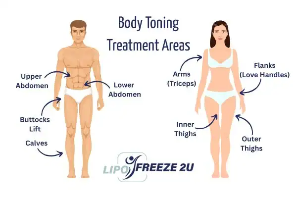 Graphic showing where you can have Body toning Treatment Whitstable on your body